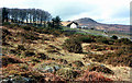 Moorland hillside near the Cheesewring