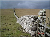 SD9665 : Drystone wall on Malham Moor. by Steve Partridge