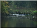 Tidal Weir, River Yealm