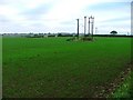 Array of Electricity Poles, Blue Barn Lane