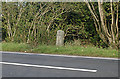 Milestone, A388, Carkeel, Saltash