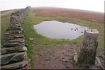 SD7381 : Trig point, Whernside by Mark Anderson