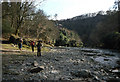 Bed and bank of the River Tavy, near Tavy Cottage