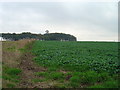 Masts at the top of Nunburnholme Wold