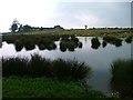 Pond, North of the A66 at Smallways