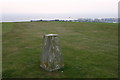 East Brighton Golf Course trig