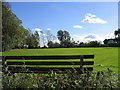 Paslow Wood Common, Stondon Massey, Essex