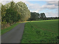 Woodfold Lane near Freeby