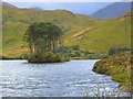NM7982 : Eilean na Moine, Loch Eilt by David Crocker