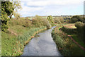 Burlescombe: Grand Western Canal near Ebear Bridge