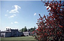 W7971 : Fota House: the view from the arboretum. by Dr Charles Nelson