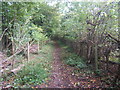 Bridleway leading to Rowbarns Manor