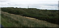 Looking east towards Fawley Power Station, Tom