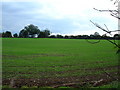 TL0116 : View over fields towards Studham by Robin Hall