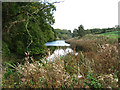 Fishing Lake, Stoke Rochford Estate