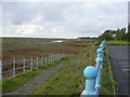 Dee saltmarsh, Gayton