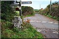 Stone cross near to Moretonhampstead