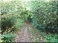 Track between Turners Lane and South Lodge Road, Hersham