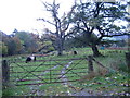 Belties, Greenside Farm, nr Dunscore