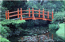 N7311 : In the Japanese Garden,  Tully by Dr Charles Nelson
