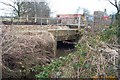 Tudeley Brook, Paddock Wood