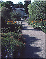 In the Walled Garden at Rowallane, Saintfield.