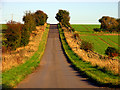 SU4573 : Lane to Penclose Farm by Pam Brophy