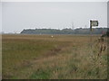 Hythe Spartina Marshes, Hythe, Hants