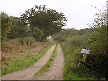 SU3510 : Track to Muttonsnow Farm, Colbury by Jim Champion