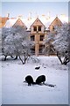 Woodchester Mansion in snow