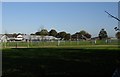 Kent County Showground