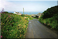 St Teath: lane to Tregardock