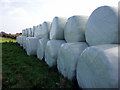 Silage bales