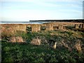 WW2 coastal defences at Lundin Bridge Tayport