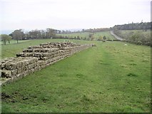 NY8871 : Hadrian's Wall by Graham Ellis