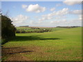 Primrose Hill View