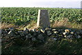 Courtstone trig