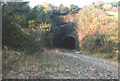 Disused railway  tunnel entrance