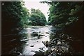 SD9697 : River Swale by Andrew Smith