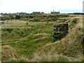 Quarry, Cockfield Fell