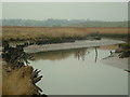 TM4475 : River Blyth between Blythburgh and Wenhaston by Andrew Farrow