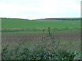 Farmland photographed from near Pembroke Farm