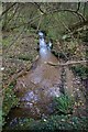 Stream between Brook Hill and Brookhill Wood