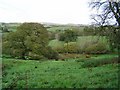 Countryside near Langstone - Dartmoor