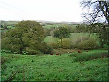 SX7482 : Countryside near Langstone - Dartmoor by Richard Knights