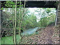 Barnsley Canal beneath High Bridge at Notton.