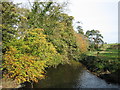 Autumn on the River