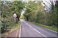 Road in a rural area