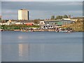 Rowers on the Tees