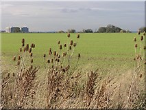 TM0208 : Arable Fields, with Nuclear Power Station In The Distance by Hywel Williams